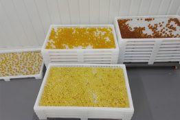 KHAY SẤY VIÊN NANG – VẤN ĐỀ THƯỜNG GẶP VÀ GIẢI PHÁP