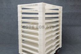 Khay Nhựa Xếp Chồng Nuôi Tằm 80x60cm – Giải Pháp Tối Ưu Cho Năng Suất Cao