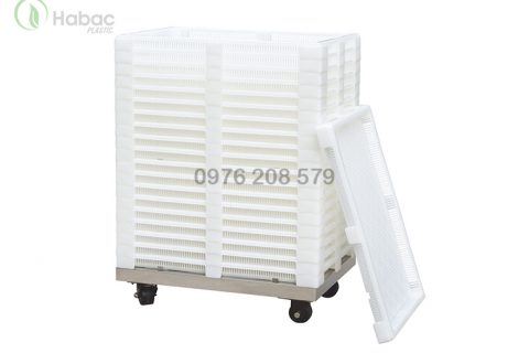 Khay nhựa sấy viên nang mềm/ Vỉ nhựa đựng softgel (Medicine drying trays)